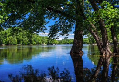 Co je řeka Mississippi – zajímavosti a historie